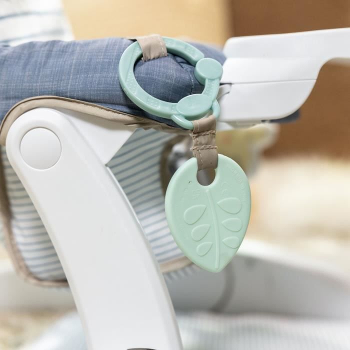 INGENUITY - Casi the Zebra - Baby Learning Seat - Provides Support for Baby, Baby Gift