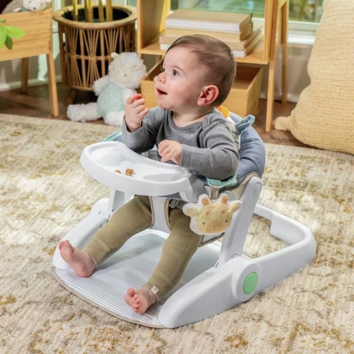 INGENUITY - Casi the Zebra - Baby Learning Seat - Provides Support for Baby, Baby Gift