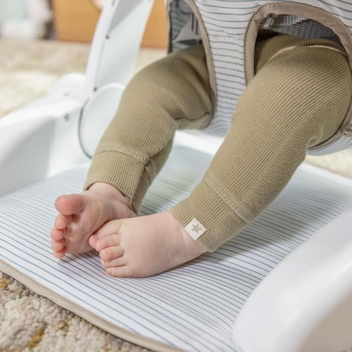 INGENUITY - Casi the Zebra - Baby Learning Seat - Provides Support for Baby, Baby Gift