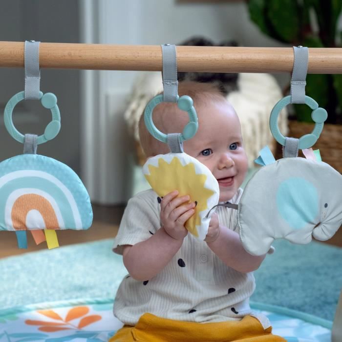 INGENUITY Tapis d'éveil bébé Sun Valley, arche de jeu en bois - 3 jouets amovibles - pliable