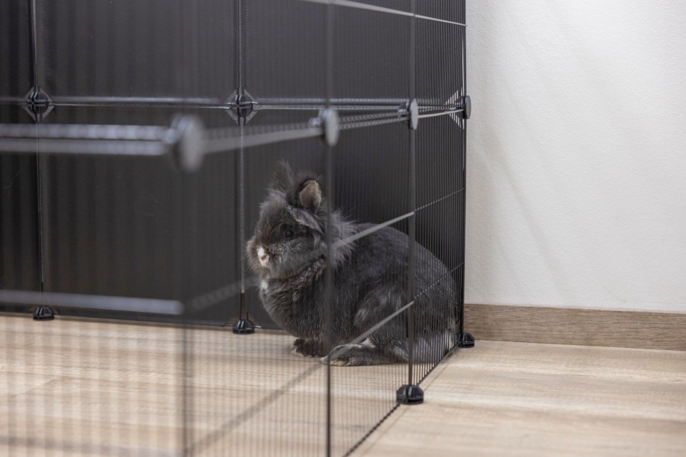 KERBL Hopsi Enclosure for Indoor/Outdoor Use - Modular Grid Kit