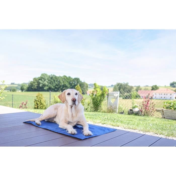 KERBL Cooling Mat - CoolRelax - 50x40 cm - Blue