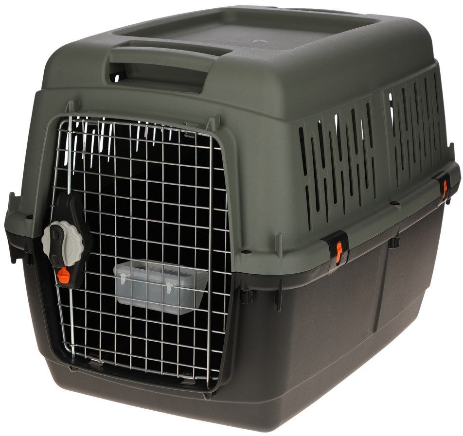 KERBL Eco Transport Box - Grey/Green - 81 × 60 × 61.5 cm