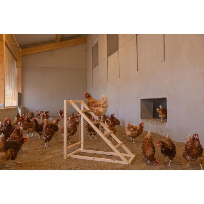 KERBL Chicken Climbing Tower - 85 x 55 x 76 cm - With Swing - Sturdy Ladder