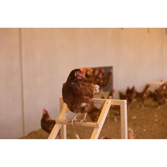 KERBL Chicken Climbing Tower - 85 x 55 x 76 cm - With Swing - Sturdy Ladder