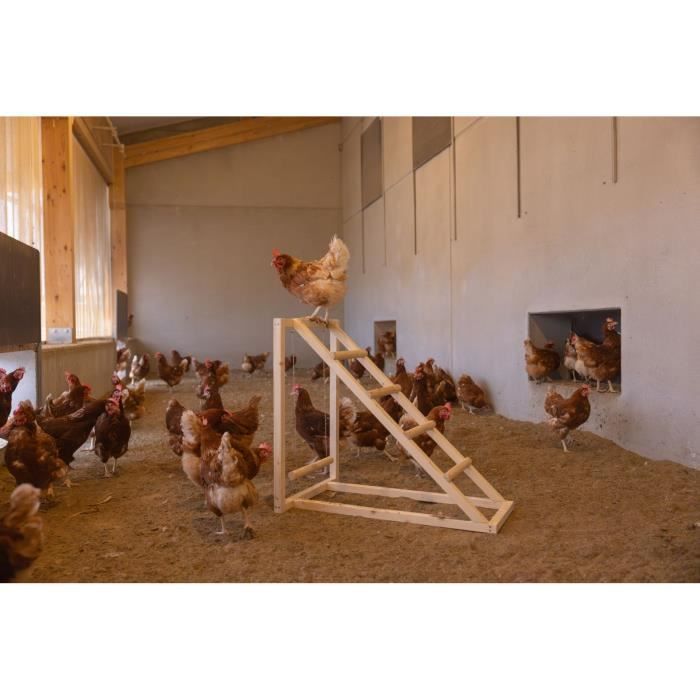 KERBL Chicken Climbing Tower - 85 x 55 x 76 cm - With Swing - Sturdy Ladder
