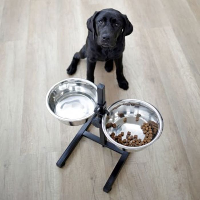 Kerbl Pet Feeders with Stand 2x2.8 L 43 cm Black