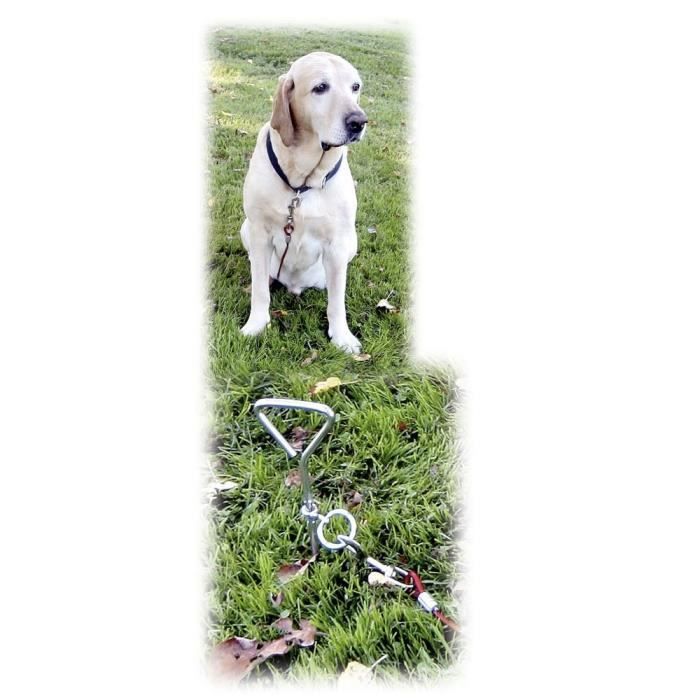 KERBL Dog Tether with Spiral Anchor