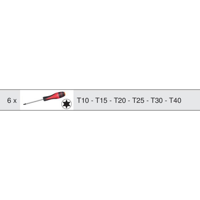 KS Tools Module - Ultimate Torx Screwdriver Module - 6 Pieces - For Tool Trolleys and Workbenches - Model 713.5013