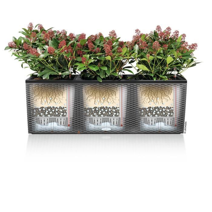 LECHUZA Jardiniere - Trio cottage 30 - 100 x 32,5 x 34,5 cm - 42 L - Kit complet - Granit
