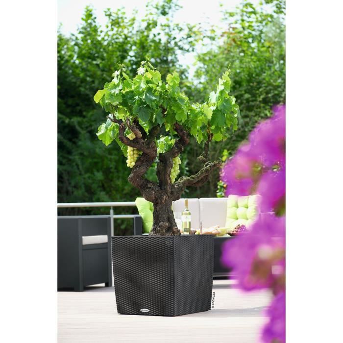 LECHUZA Cube Cottage Flower Pot 50 - 50 x 50 x 50 cm - Complete Kit - Granite - 61 L