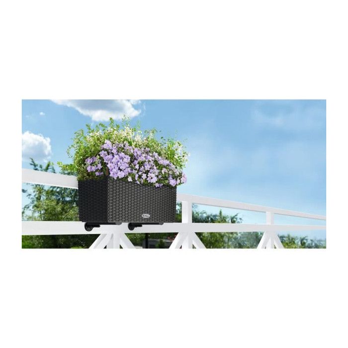 LECHUZA Planters - Balconera Cottage 50 50 x 19 x 19 cm - Complete Kit - Granite