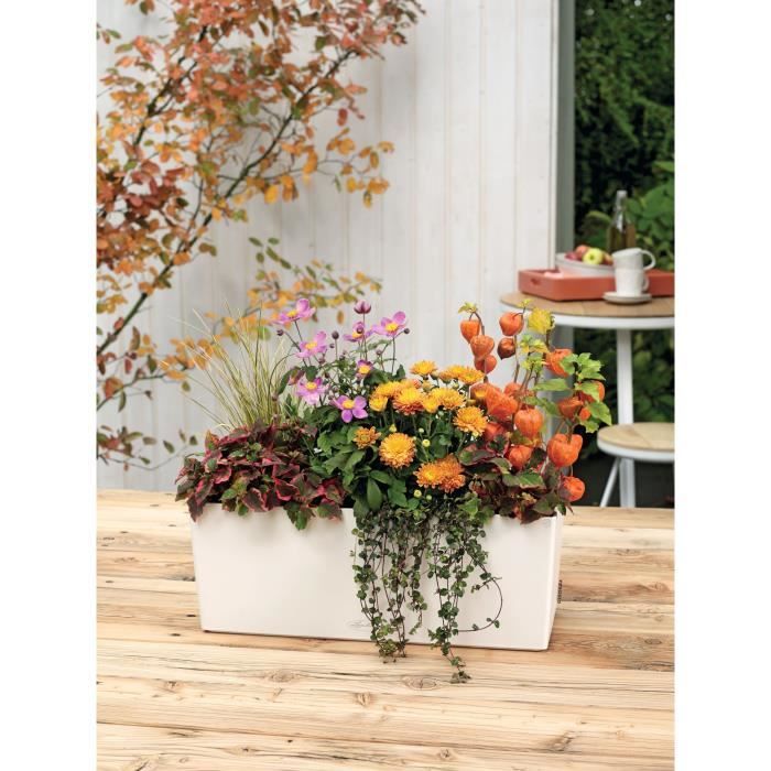 LECHUZA Balcony Planter Color 50 ALL-IN-ONE White 15670