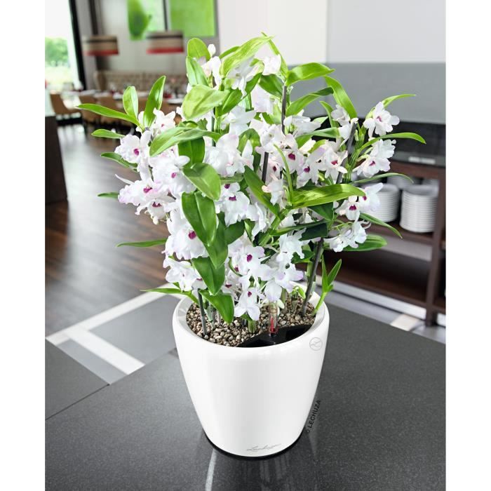 LECHUZA Flower Pot - Classico Premium LS 21 - Ø 22 x 20 cm - 3 L - Complete Kit - Automatic Watering -