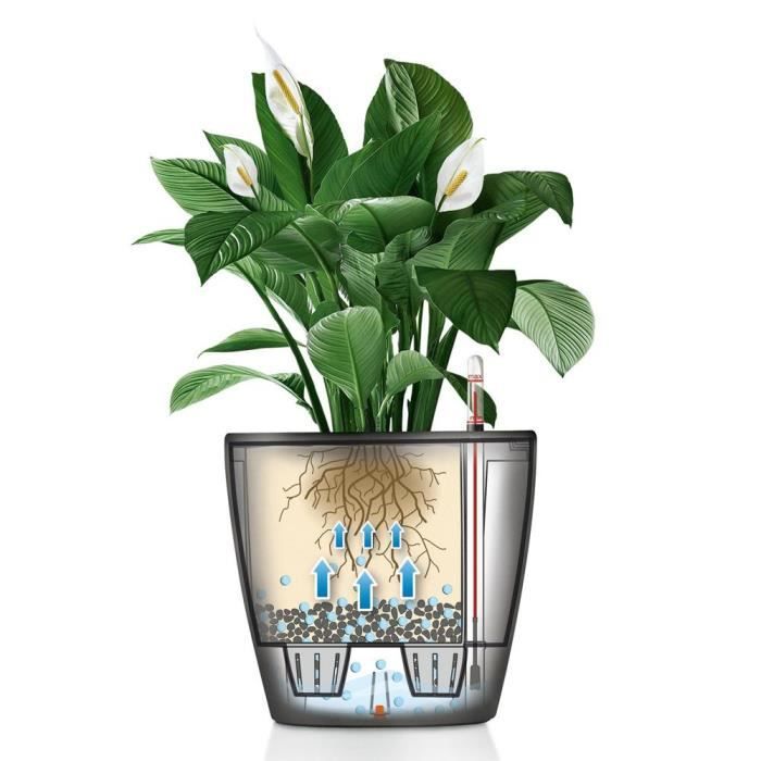 LECHUZA Classico Premium Flower Pot - Complete Kit - Metallic Anthracite - Ø 21 x H20 cm - 3 L