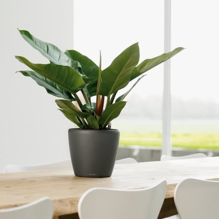 LECHUZA Classico Premium Flower Pot - Complete Kit - Metallic Anthracite - Ø 21 x H20 cm - 3 L