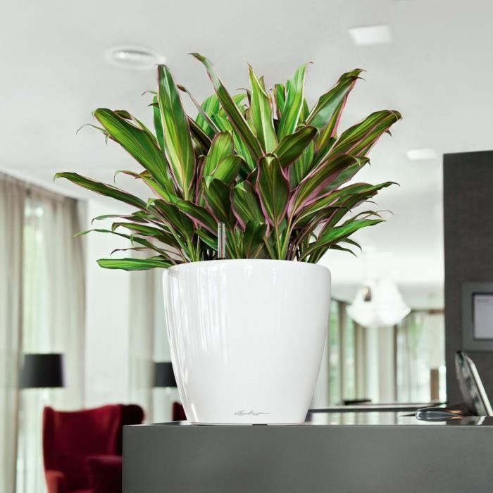 LECHUZA Classico 28 LS ALL-IN-ONE Flower Pot - Ø 28 x 26 cm - Glossy White