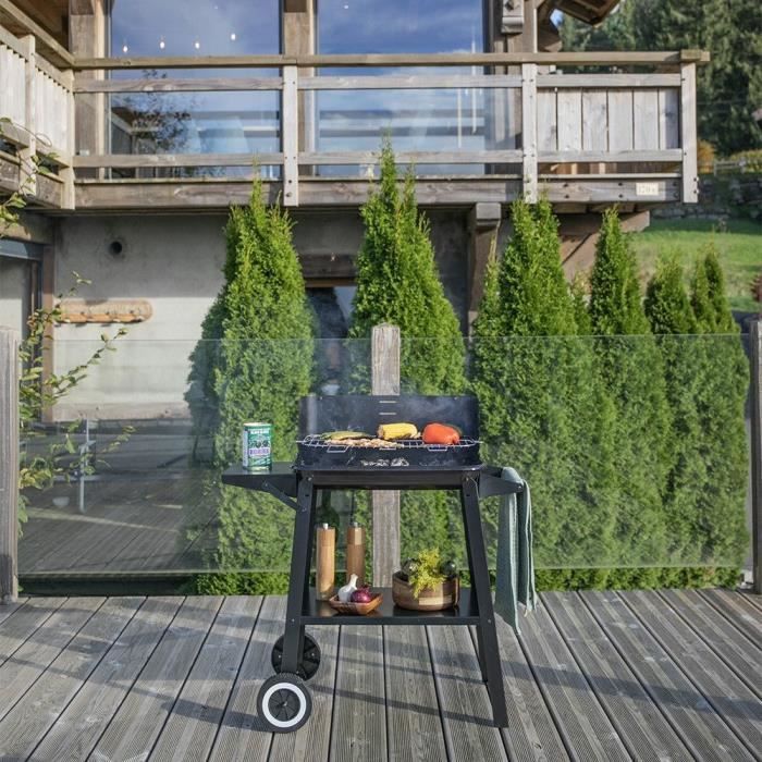 LIVOO DOC328 Charcoal Barbecue - Stainless Steel - Cooking Surface 48.5 x 28.8 cm
