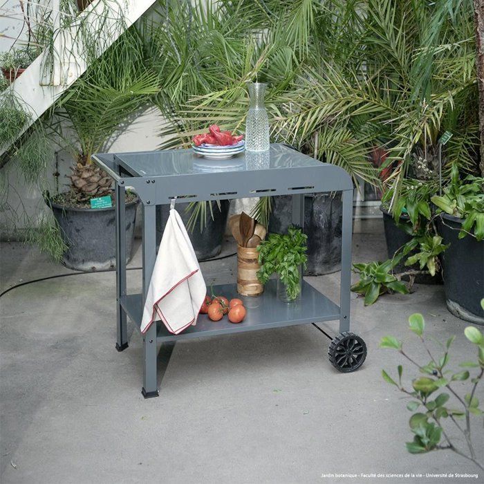 LIVOO Plancha Trolley - GS168G - 2 Wheels - Top Shelf 70 x 50 cm