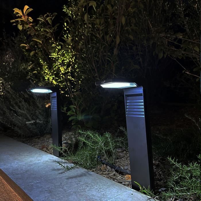 LUMISKY OSTRY Set of 2 Solar-Powered Stake Lights - H41 cm - Cool White LED