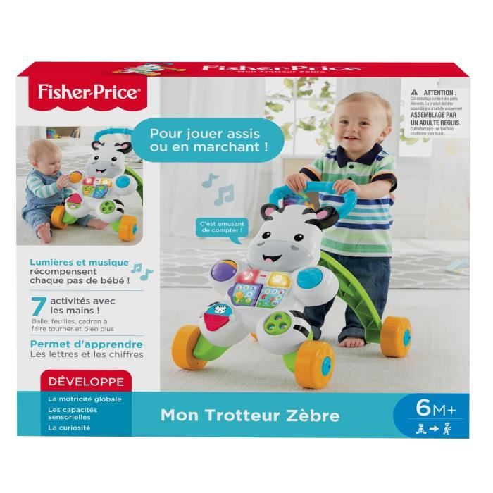 Fisher-Price My Talking Zebra Walker - Baby Walker - 6 months and up DLD96