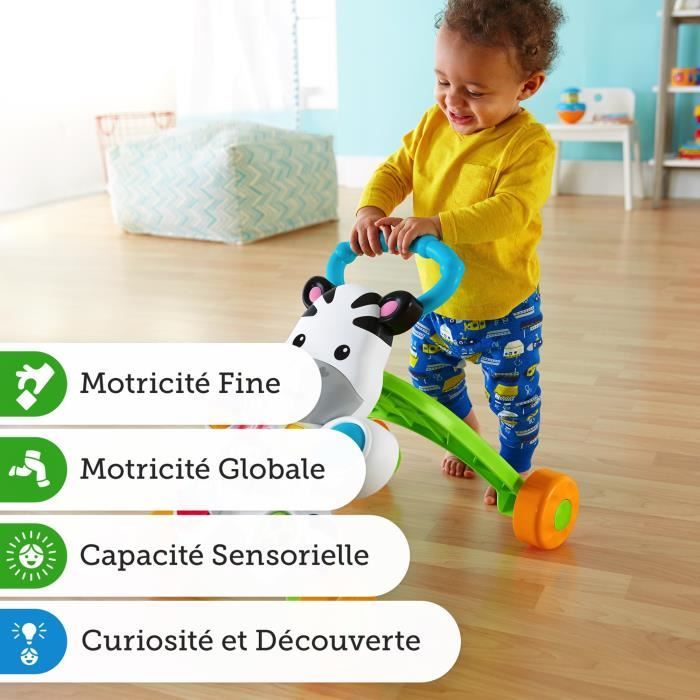 Fisher-Price My Talking Zebra Walker - Baby Walker - 6 months and up DLD96