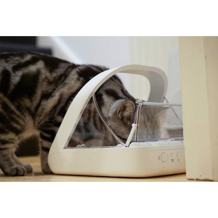 SUREFEED Microchip Pet Feeder - White - Includes Single Bowl, Double Bowl, Mat & ID Tag
