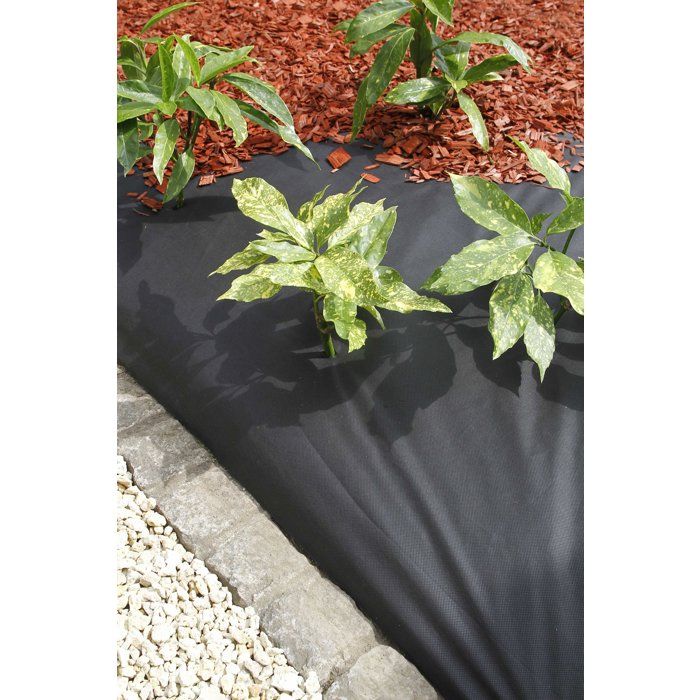 NATURE Geotextile Felt - 10 x 1 m - 120 g/m² - Black - For Paths and Flowerbeds