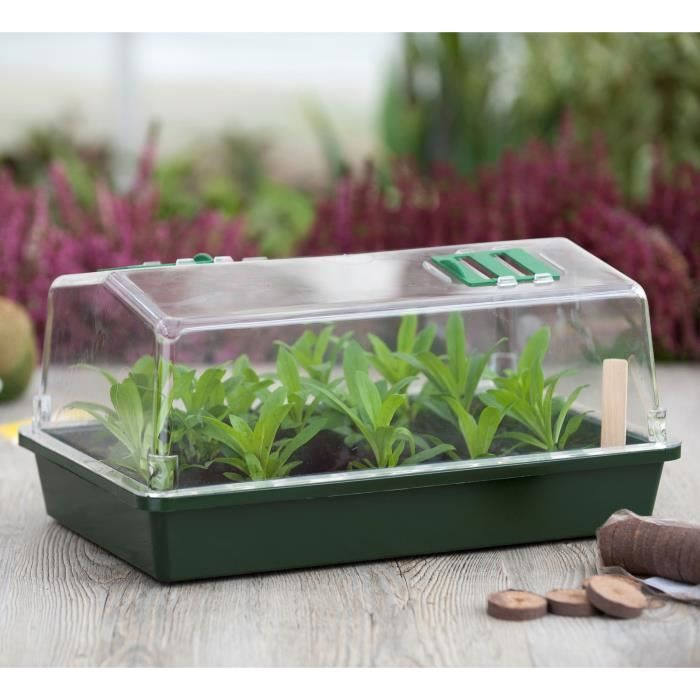 NATURE Rigid Mini Greenhouse - Ventilated Lid - H18x37x24 cm - Green