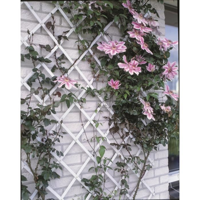 White Plastic Expandable Trellis 50x150 cm 50x150cm