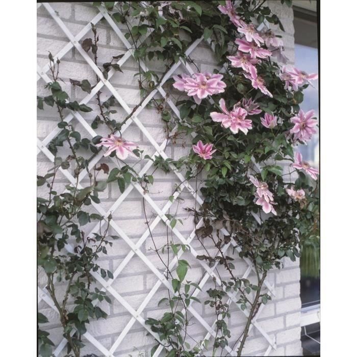 Nature Green Plastic Expandable Trellis 100x200 cm 23x7 mm Profile 100x200cm