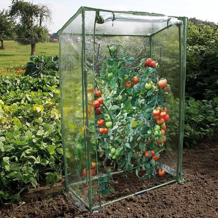 NATURE Tomato Greenhouse 100x50x150 cm - UV-Treated Polyethylene