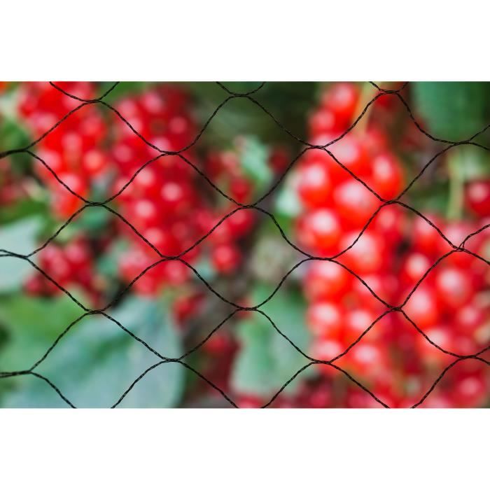 Primo 5x2m anti-bird netting in 12gr/m² black polyethylene knitted mesh