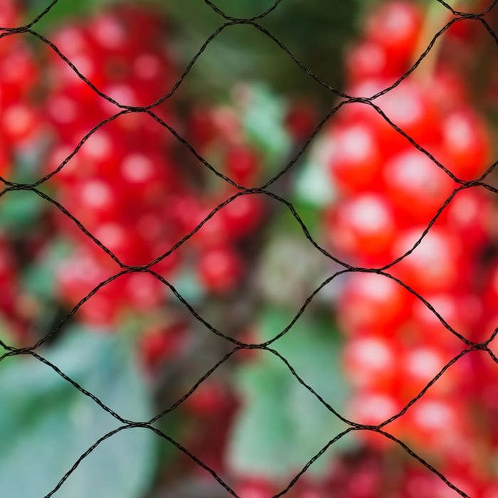 NATURE Primo Bird Net 10 x 10 m Black - 28 mm Mesh - 12gr/m² Polyethylene