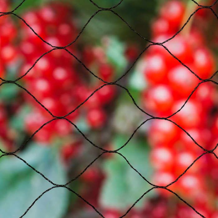 NATURE Primo Bird Net 10 x 10 m Black - 28 mm Mesh - 12gr/m² Polyethylene