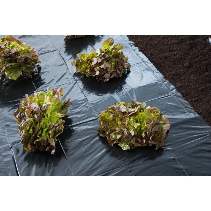 NATURE Cover Film - 3 x 4 m - 100µ Thick - Black