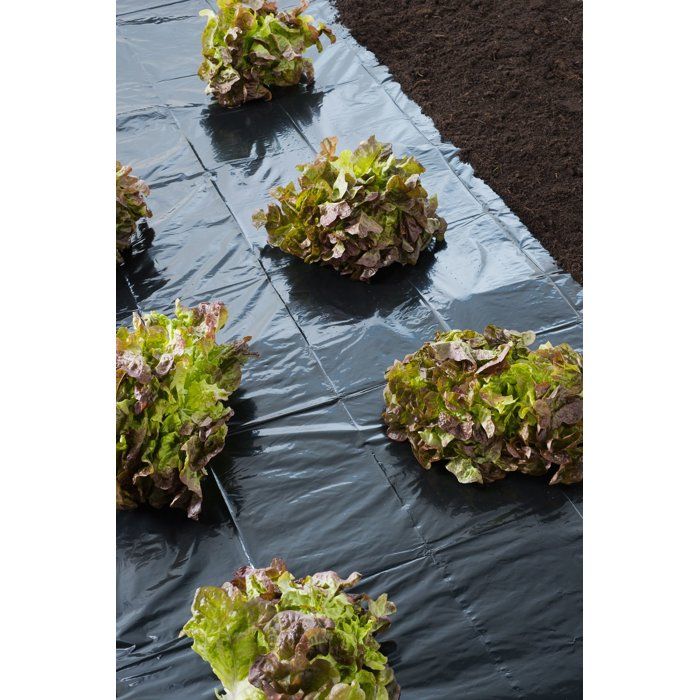 NATURE Cover Film - 3 x 4 m - 100µ Thick - Black