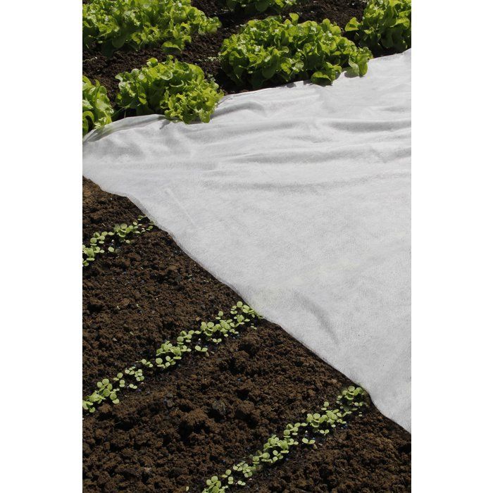 NATURE Forcing Fleece - 17 g/m² - 2 x 10 m - White