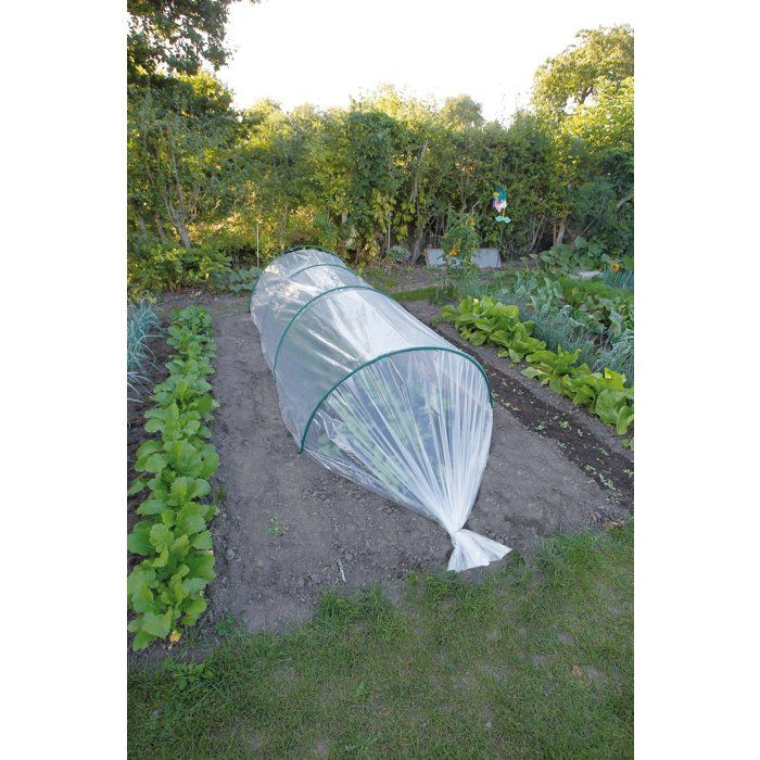 NATURE Growth Film 4 x 6 m 100µ - Transparent for Seedlings