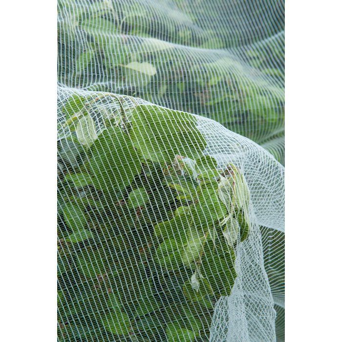 Filet protection contre ver de pomme/poire et grele - NATURE - 5,2 x 5m - 3 x 6mm