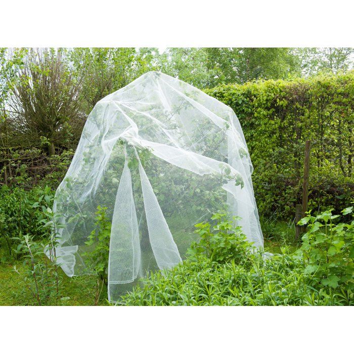 Filet protection contre ver de pomme/poire et grele - NATURE - 5,2 x 5m - 3 x 6mm