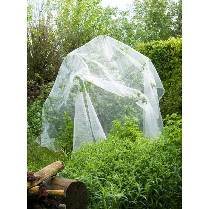 Filet protection contre ver de pomme/poire et grele - NATURE - 5,2 x 5m - 3 x 6mm