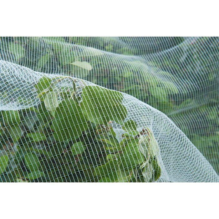 Filet protection contre ver de pomme/poire et grele - NATURE - 5,2 x 5m - 3 x 6mm