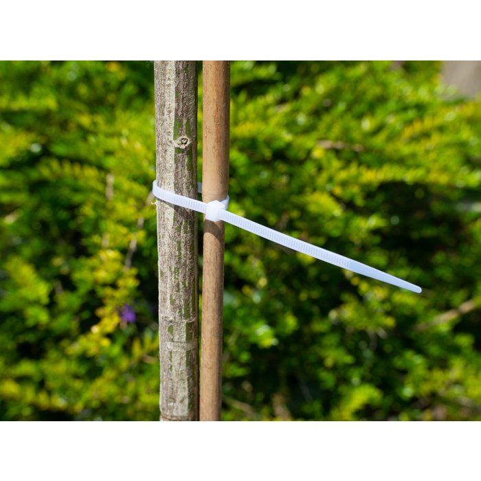 NATURE Plant Support Collar - 15 cm - Pack of 25 - Transparent