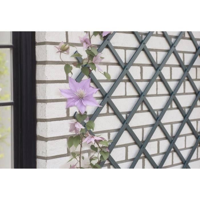 NATURE Expandable Trellis - Anthracite Plastic - 50 x 150 cm