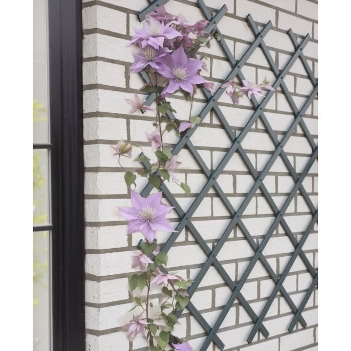 NATURE Expandable Trellis - Anthracite Plastic - 50 x 150 cm