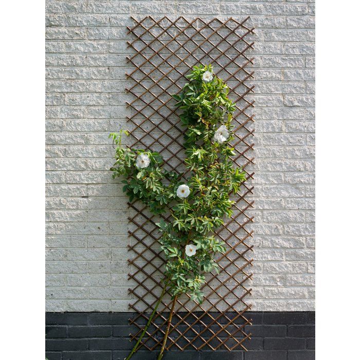 Nature Garden Trellis 30x180 cm Natural Brown Willow 446397