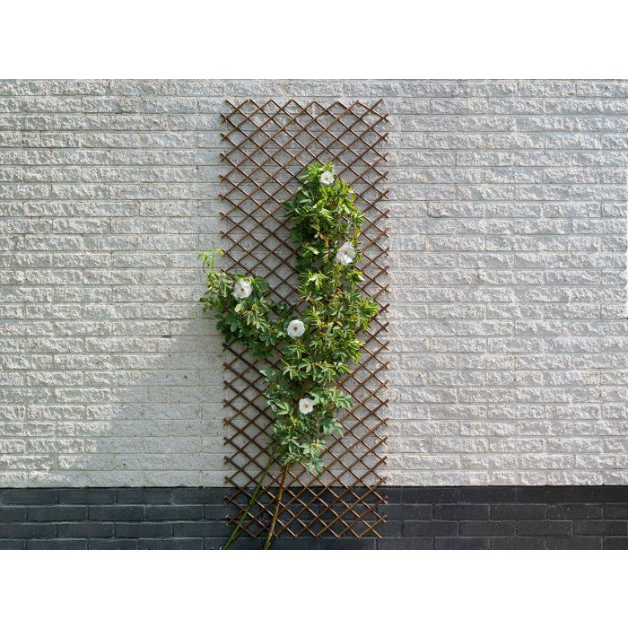 Nature Garden Trellis 30x180 cm Natural Brown Willow 446397