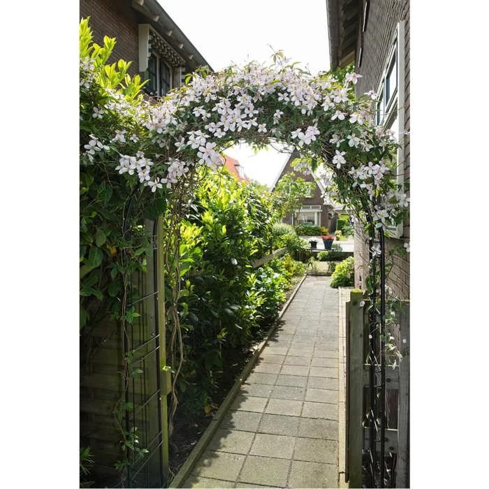 NATURE Steel Arch Pergola - 113 x 38 x H229 cm - Black 113x38xH229cm