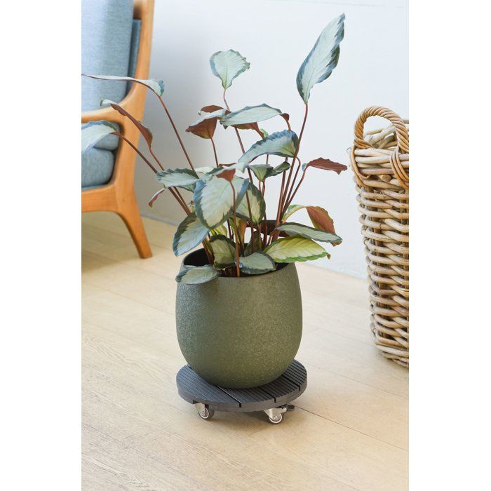 NATURE Plant Pot Stand with Wheels - WPC - H7.5 x Ø30 cm - Anthracite